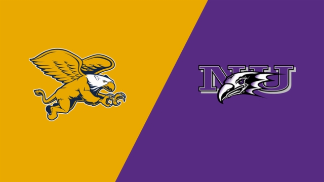 队贡献力量 队贡献力量